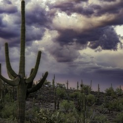 Stormy Arizona Sunset
