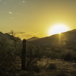 Sonoran Sunrise
