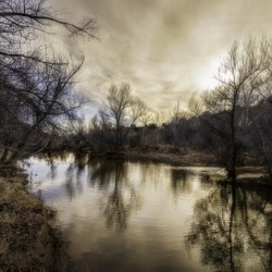 Winter Reflections on Dry Beaver Creek