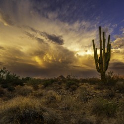 Mammatus Sunset over New River Arizona