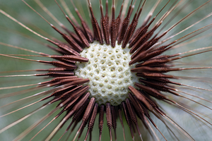 A MODERN SCULPTURE IN THE MEADOW