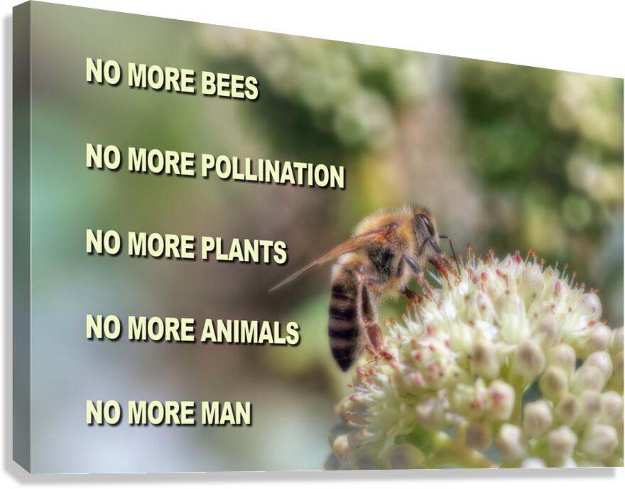 SAVE THE BEES Canvas Print