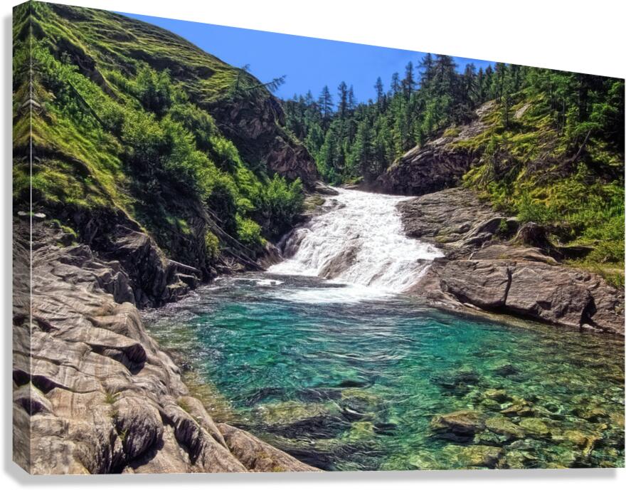 WILD NATURE Canvas Print