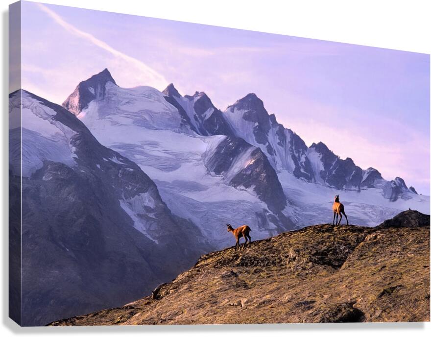 ALPINE SUNRISE Canvas Print