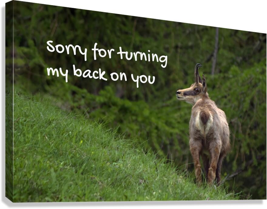 EMBARRASSING POSTURE Canvas Print