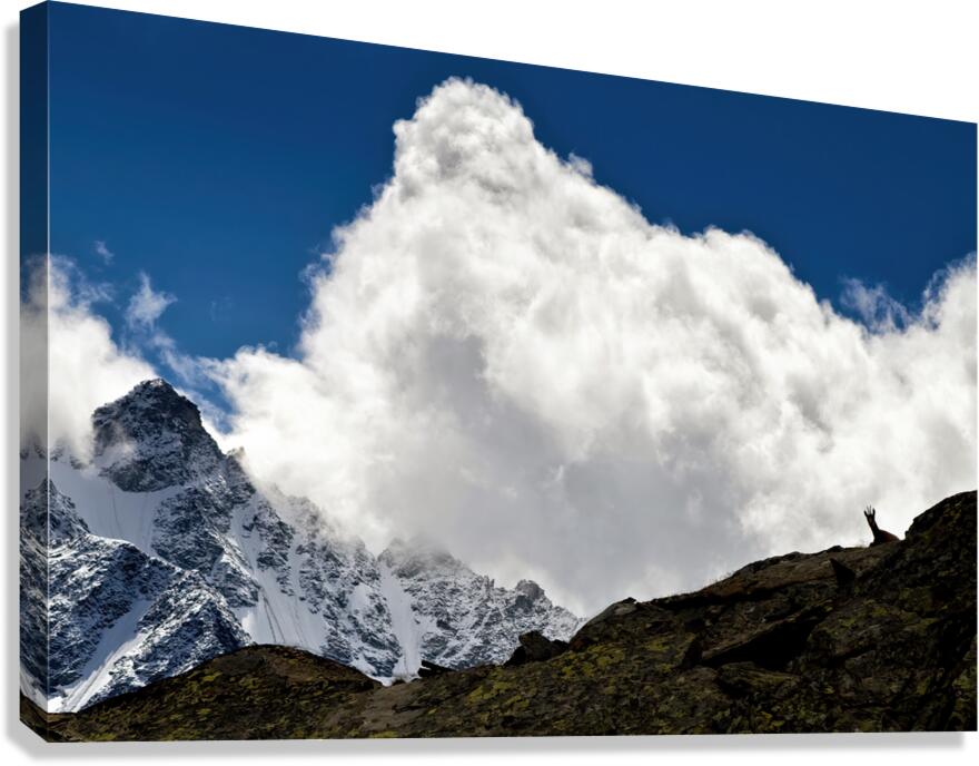 THE BORDER GUARD Canvas Print