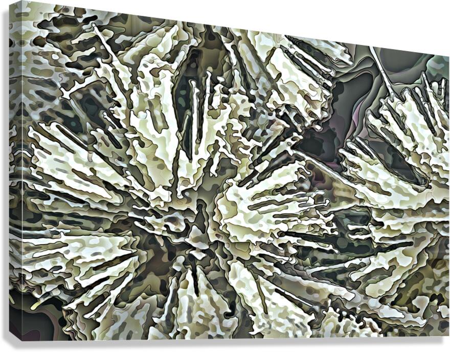 CRYSTALLIZED EXPANSION Canvas Print