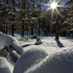 THE SUN MAKES THE CRYSTALS SPARKLE