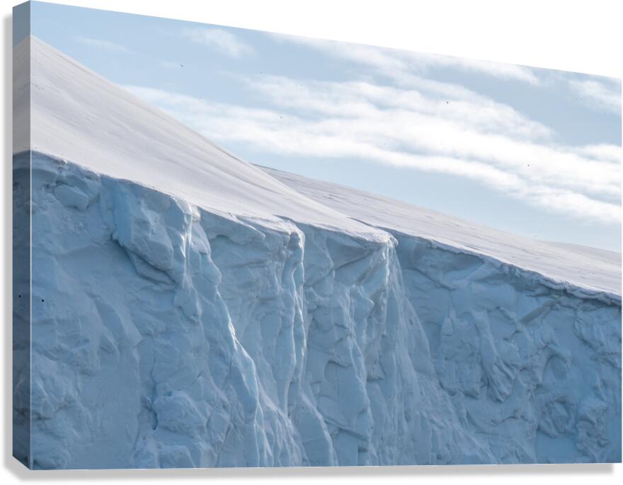 Arctic Light  Canvas Print