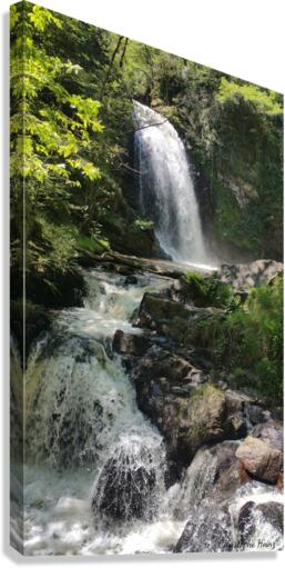 cascade de Murel Canvas Print