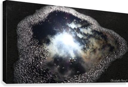 Reflet  Canvas Print