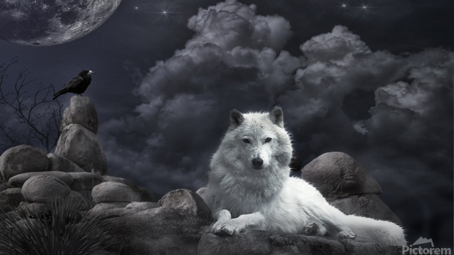 Wolf and Crow by Coolbits Artworks Wall Art