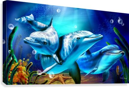 Dolphin Canvas Print