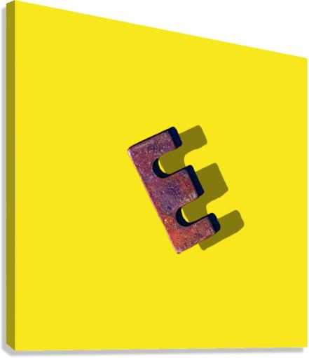Floating E Canvas Print