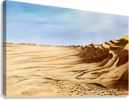 Desert 2 Canvas Print