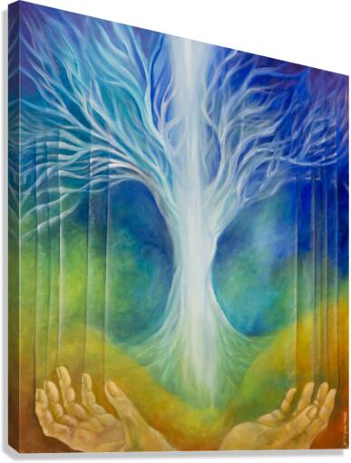 Open your hands Canvas Print