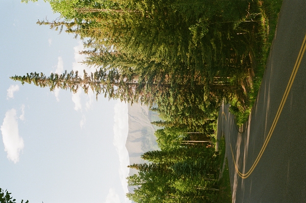 IMG 1032 by Davis Flachs