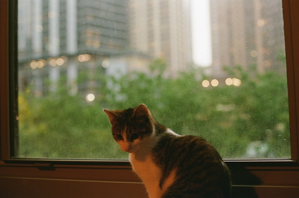 IMG 1062 by Davis Flachs
