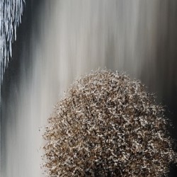 Croyance technique mixte 36 x 18