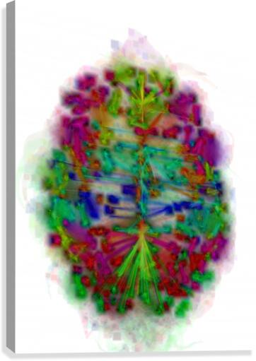 MISTy Brain Canvas Print