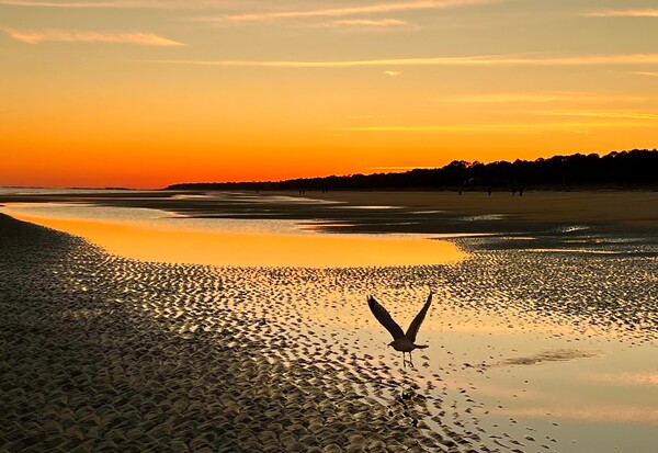 Sunset on Hilton Head Island  South Carolina by Wanderers Compass