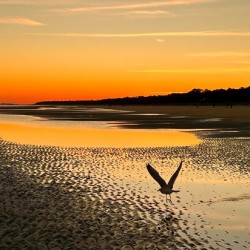 Sunset on Hilton Head Island  South Carolina