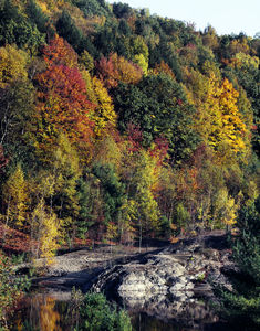 Fall Scene in Vermont. Print