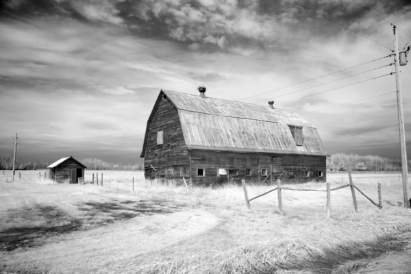 Barn  upper Michigan Print