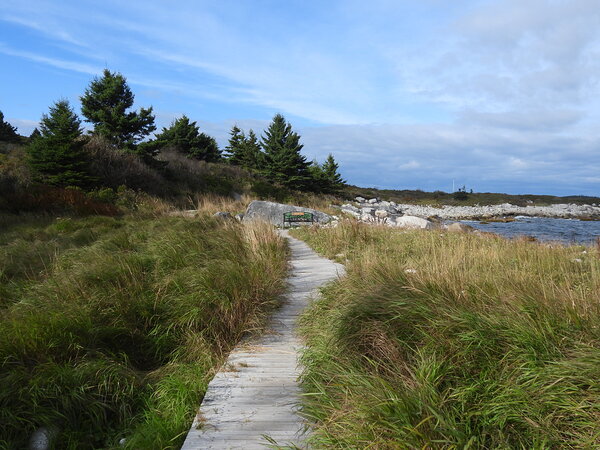 Path of Least Resistance by Deanne M Grove