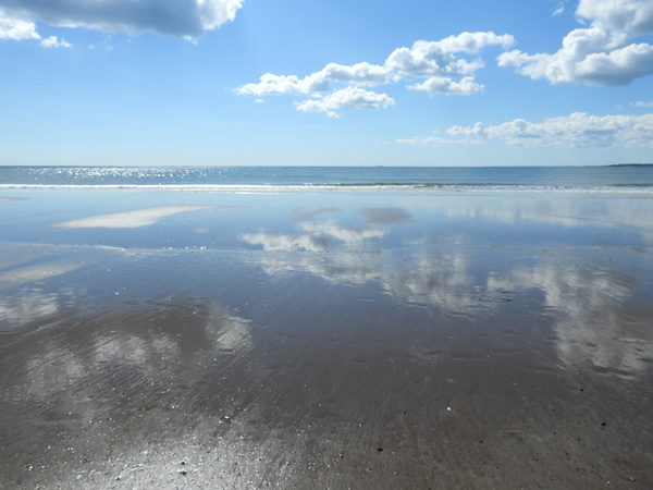 Reflection in Blue by Deanne M Grove