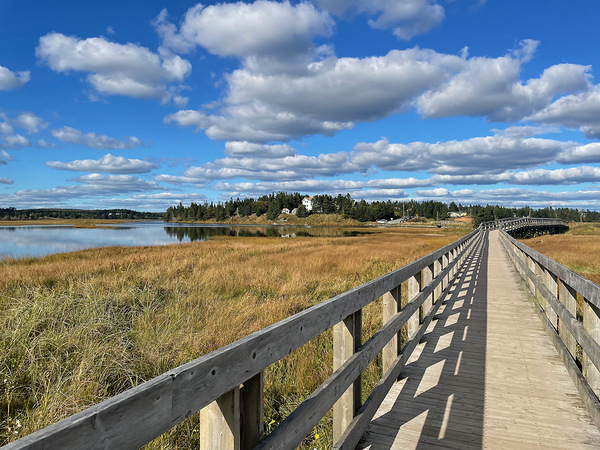 Salt Water Walk by Deanne M Grove