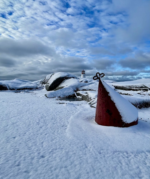 Bouy oh Bouy by Deanne M Grove