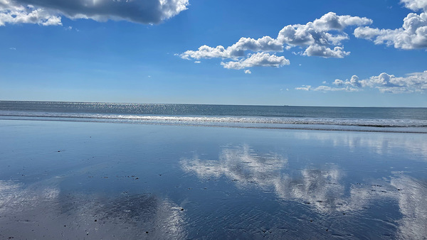Calmness Personified by Deanne M Grove