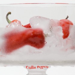 Chillie Peppers