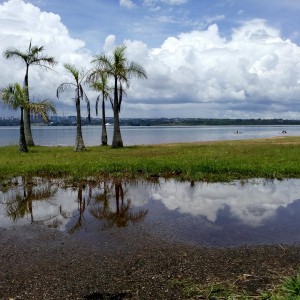 Palms and Sky Over Paranoa Lake by Jorge Blues