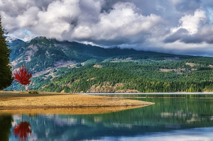 Comox Lake