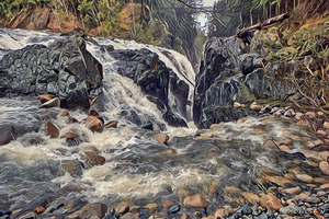 Englishman River Falls