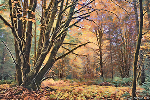 Fall Bevan forest