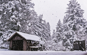 In the Wintertime