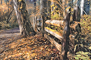Old Fence