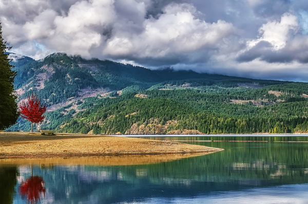 Comox Lake Print