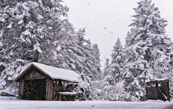 In the Wintertime Print