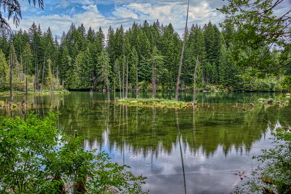 Puntledge River Print