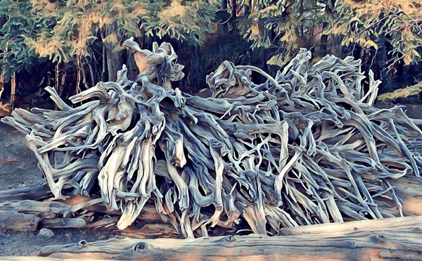 Roots Print