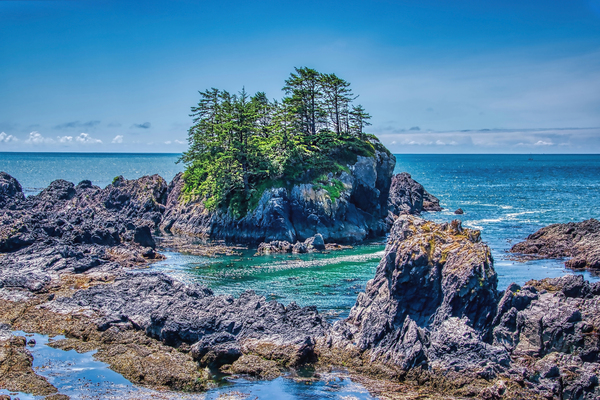 Wild Pacific Trail by Pixel Point Zero