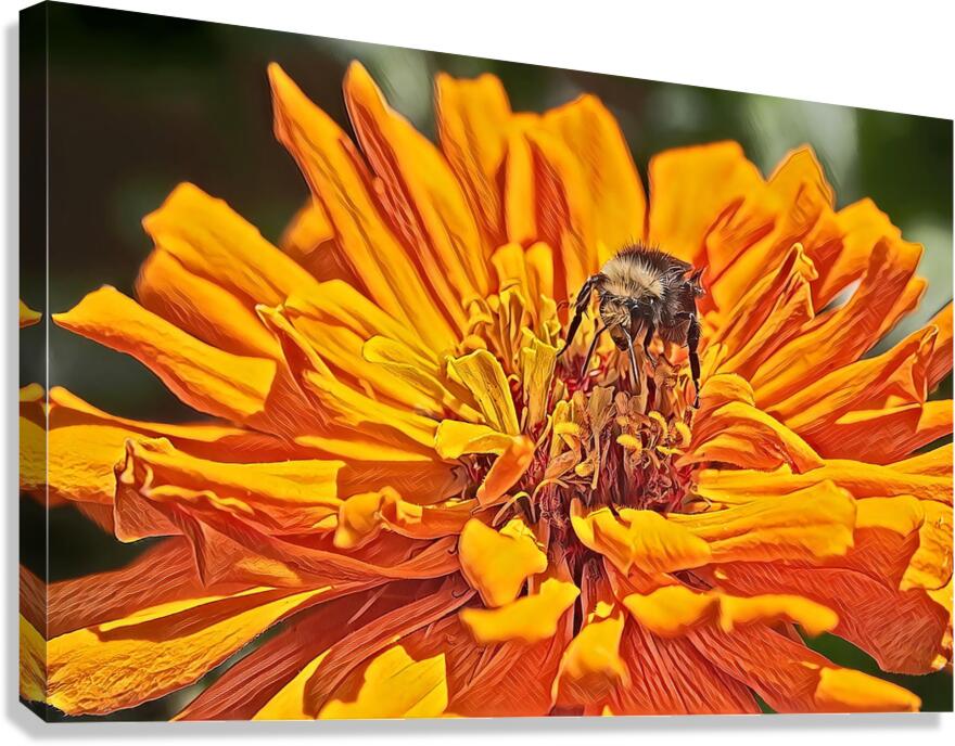 pollination Canvas Print