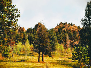 Shift to Fall