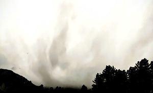 A Spectre in the Pines