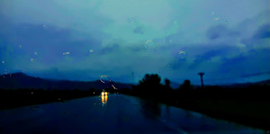 Gold Headlights on a Rainy Night
