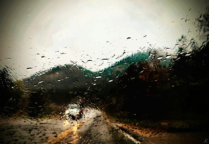 Golden Lights  Black Forest